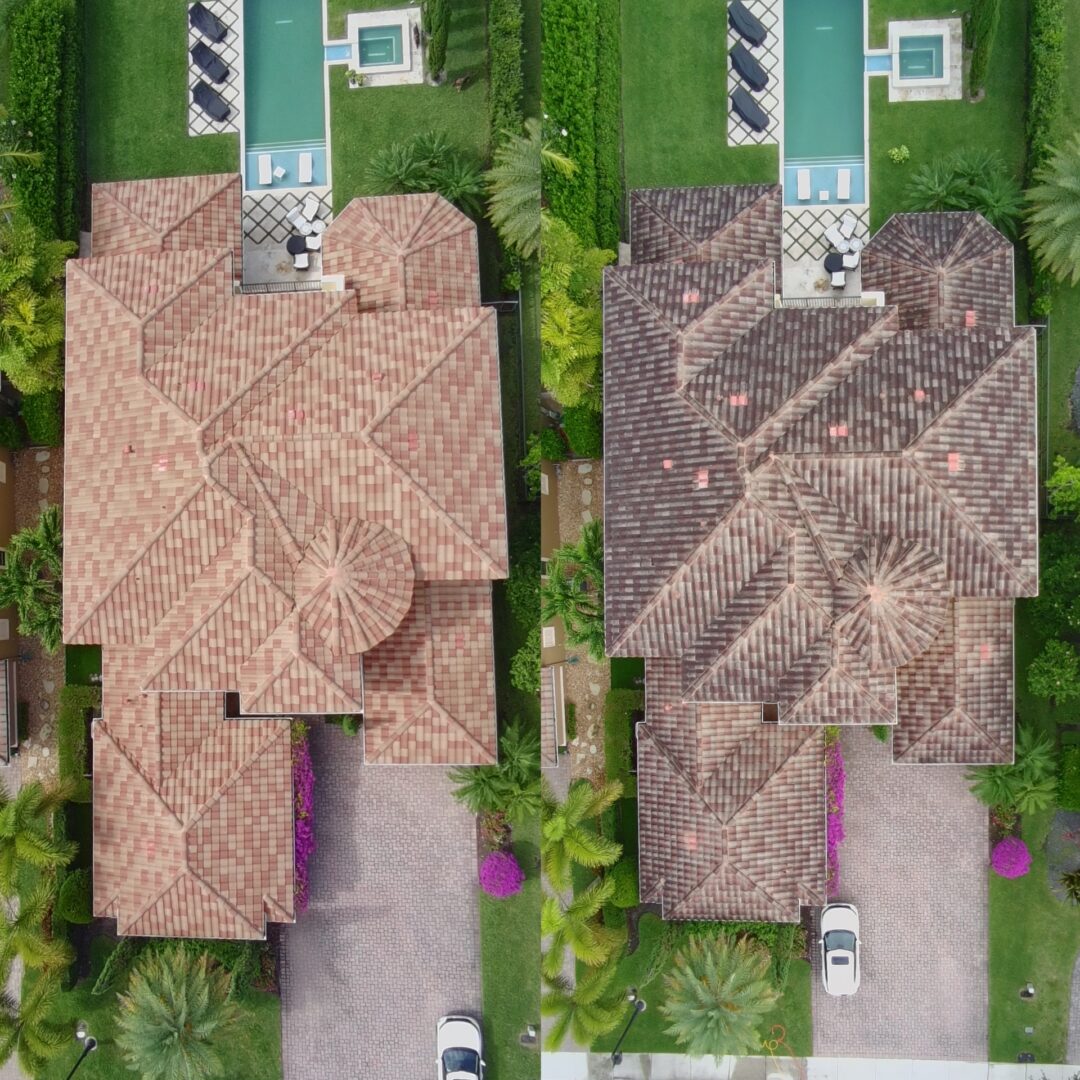 Tile roof cleaned by Nevins Services